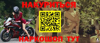 гашик Кингисепп