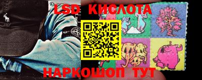 гашик Кингисепп