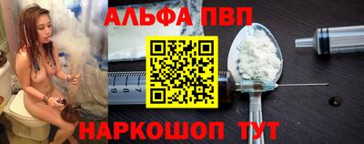 гашик Кингисепп