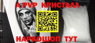 гашик Кингисепп