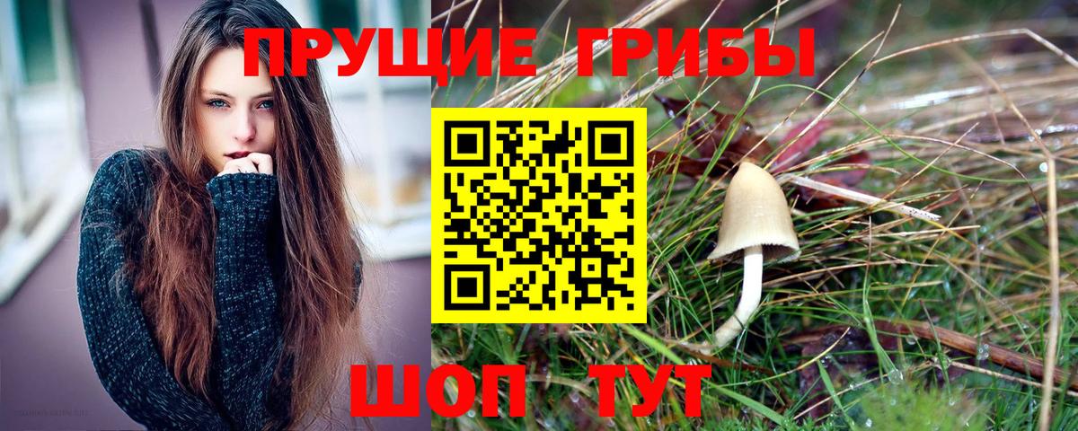 Кумертау  Псилоцибиновые грибы Psilocybine cubensis  Вход с VPN 