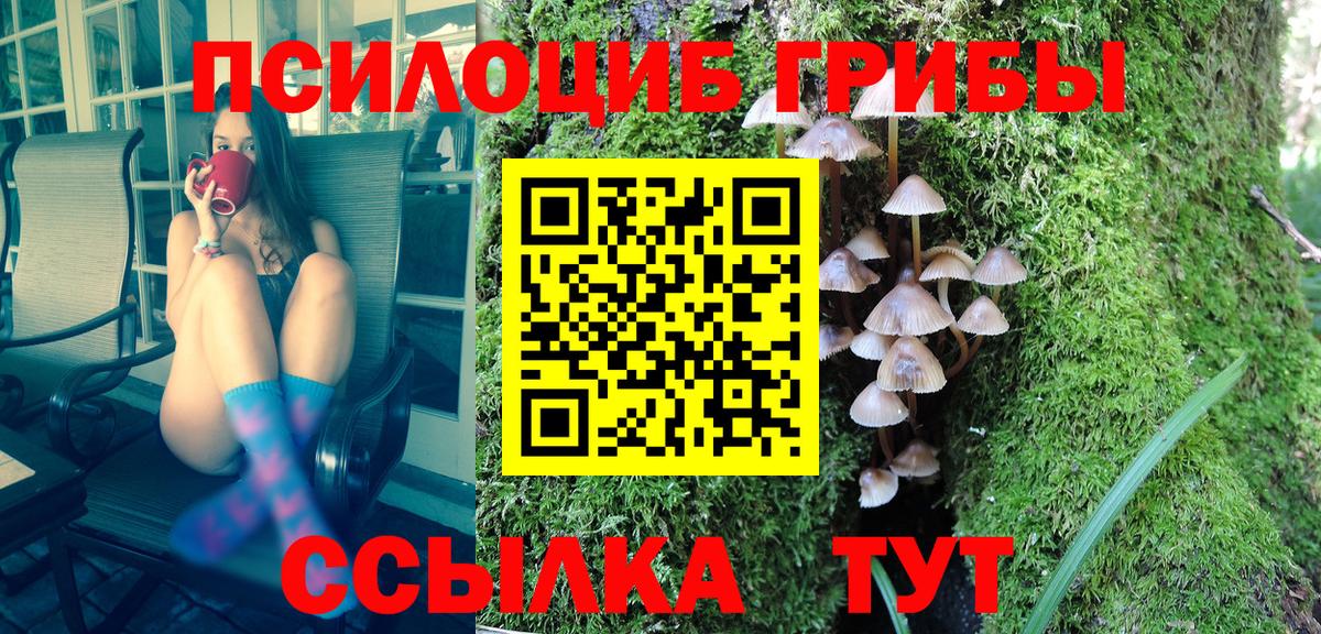 Псилоцибиновые грибы Magic Shrooms Кумертау